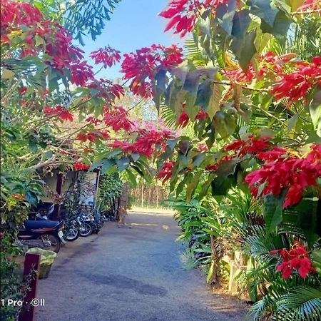 Tribal Village Homestay & Trekking Banlung Exterior foto