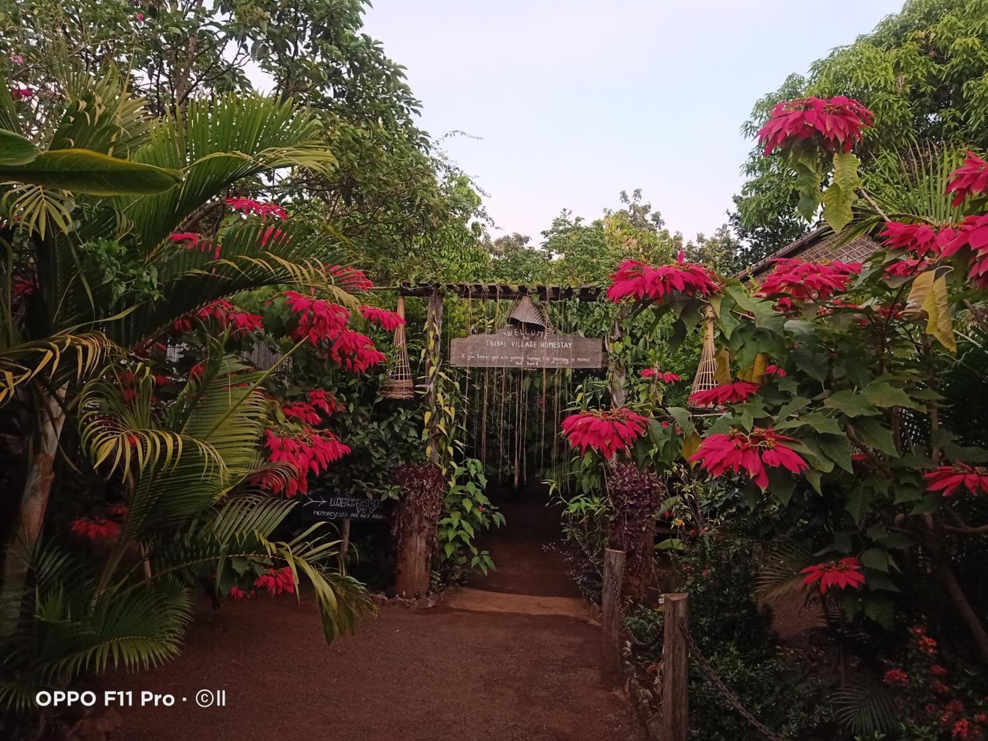 Tribal Village Homestay & Trekking Banlung Quarto foto